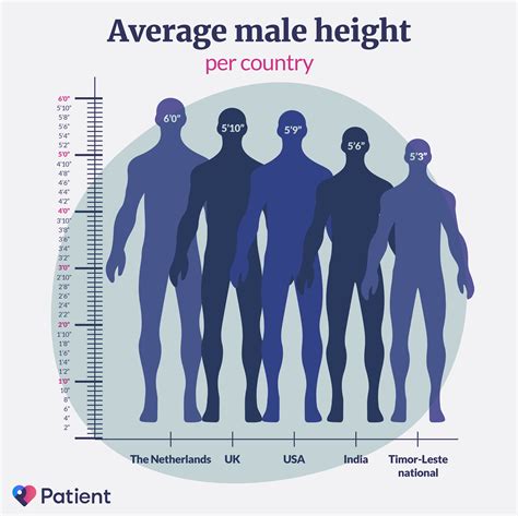 Average Height: Định Nghĩa, Ví Dụ Câu và Cách Sử Dụng Cụm Từ Average Height