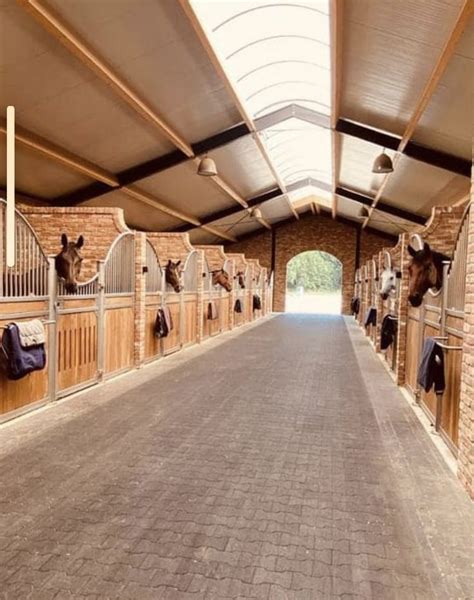 Luxury Horse Barn Designs - Nordic Style