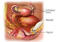 Health And Beauty Tips: Ovarian Cyst Removal