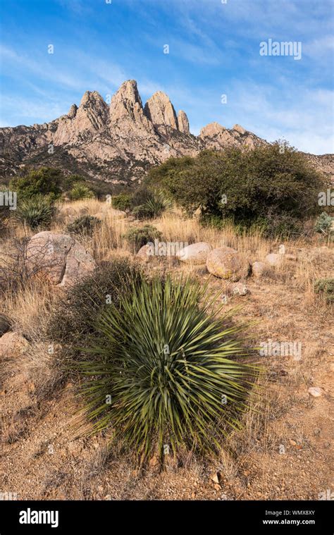 Organ Mountains Desert Peaks National Monument, New Mexico Stock Photo ...