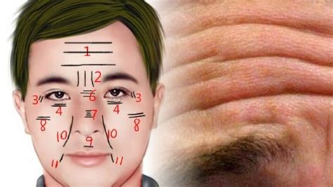 arti kerutan wajah berdasarkan ilmu fisiognomi kerut  dahi tanda