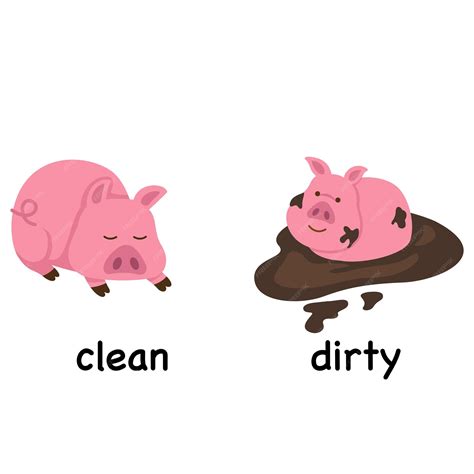 Premium Vector | Opposite words clean and dirty vector illustration
