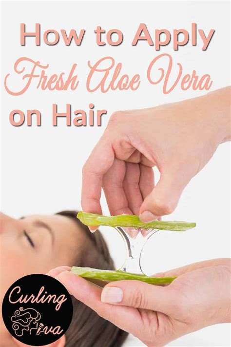 How to Apply Fresh Aloe Vera on Hair – Curling Diva