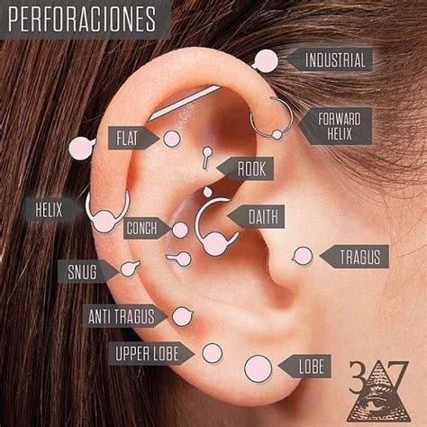 Nome Furos Na Orelha - nomes dos furos na orelha | Ideias para piercings, Piercings corporais ...