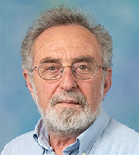 zeev maoz department  political science