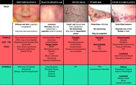 Episode 55 – Petechiae & Purpura | FOAMcast