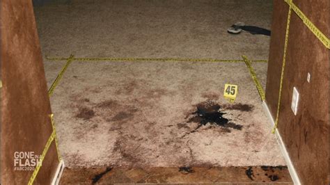 The Travis Alexander Murder: Secrets the Media Missed? - gl8d3wp