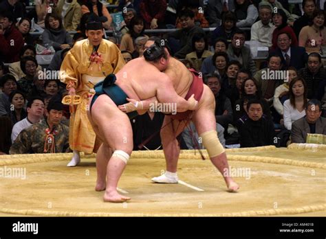 Sumo wrestlers grappling fighting sparring at the famous Spring sumo tournament in Osaka Kansai ...