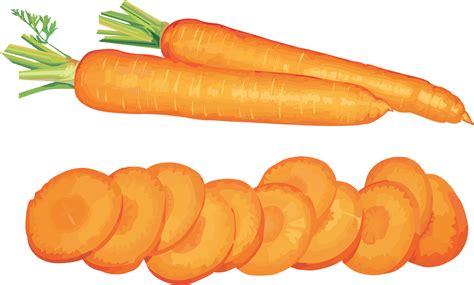 carrot png image transparent hq png  freepngimg