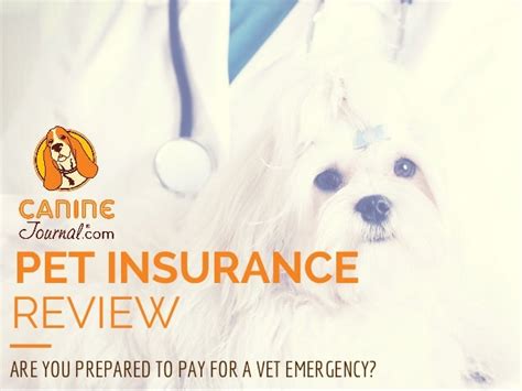 Pet Insurance Reviews