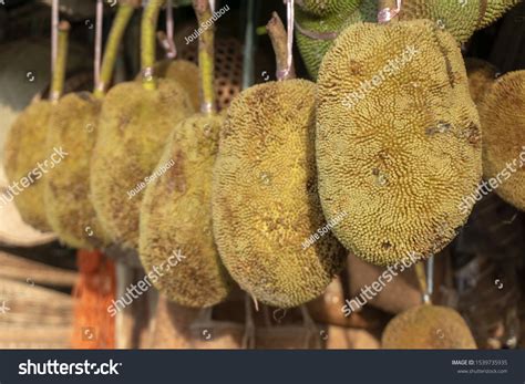 Tarap Fruit Buah Tarap Borneo Stock Photo 1539735935 | Shutterstock