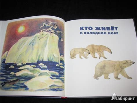 Книга: Кто в море живет - Святослав Сахарнов. Купить книгу, читать ...