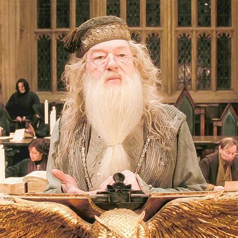 albus dumbledore icon   harry potter stories harry potter
