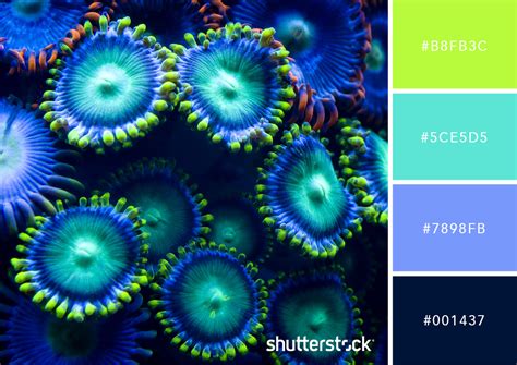25 Eye-Catching Neon Color Palettes to Wow Your Viewers