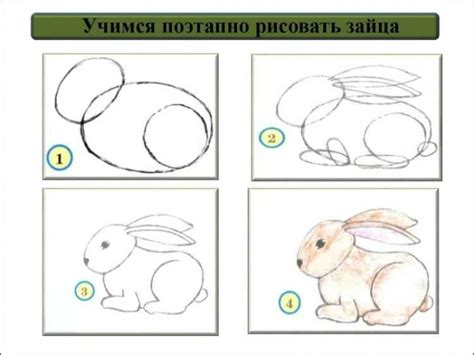 Как нарисовать зайца (100 картинок) - легкие и простые варианты для детей