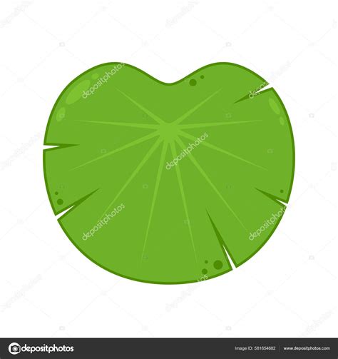 Lily Pad Vector Lily Cartoon Vector White Background Stock Vector by ...