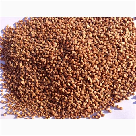 Продам гречиху 1, 2 класса — Agro-Moldova