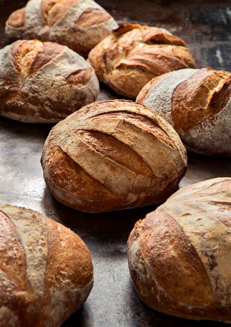 knead  minute artisan bread leites culinaria