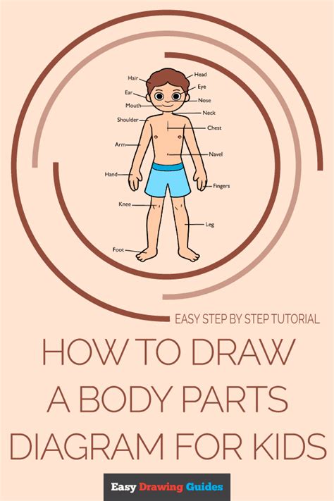 draw  body parts diagram  kids  easy drawing tutorial
