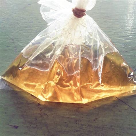 jual oli drum sae  shopee indonesia