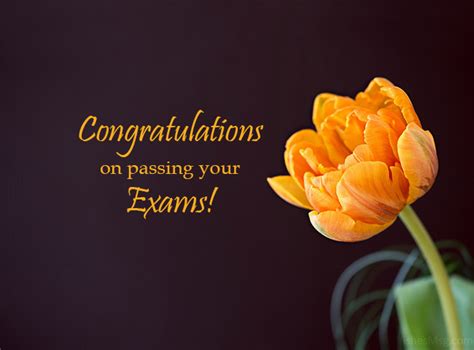 Congratulations for Passing Exam and Good Result | WishesMsg