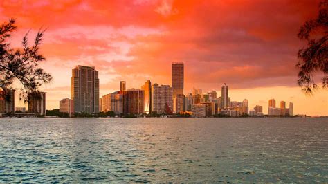 hotels  miami beach miami expedianl