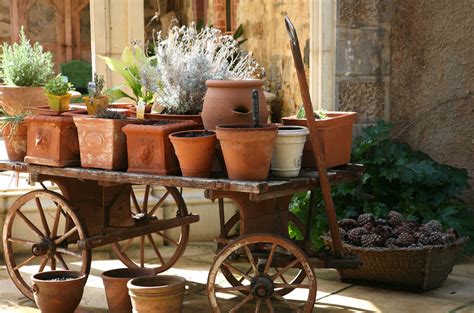 Pots & Planters for Container Gardening | Kellogg Garden Organics™