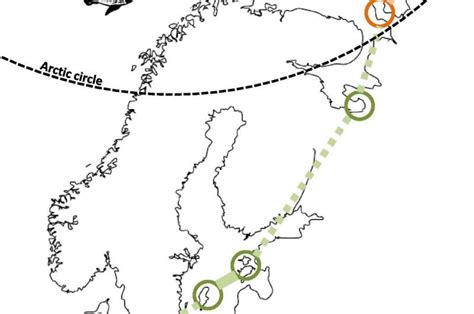 Can barnacle geese predict the climate?