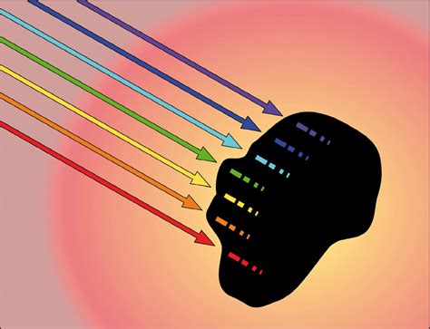 definicion de absorcion  es  concepto