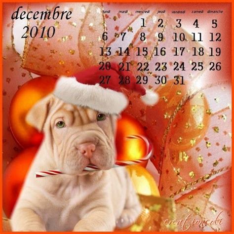 Finance Et Developpement Decembre 2010