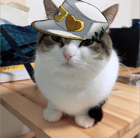 wawa : wawacat