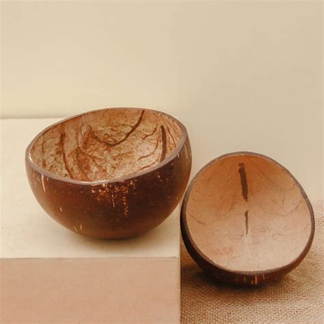 Coconut Shell Snack Bowls (Set of 2) - Meryaki Crafts