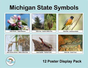 Michigan State Symbols Posters by Rainbow Girl | TpT