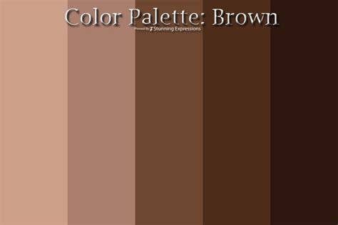 | Color Palette – Brown & Bronze | | Color palette, Dark academia color ...