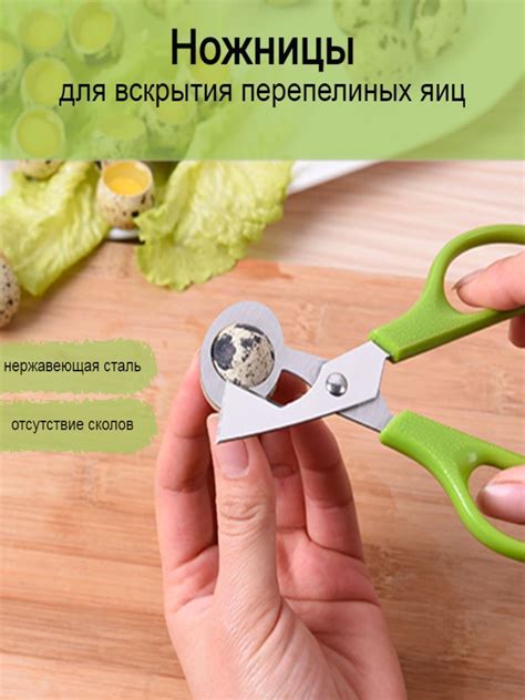 Ножницы для Вскрытия Перепелиных Яиц – купить в интернет-магазине OZON ...