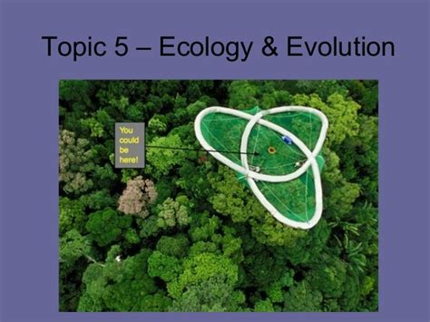 Topic 5 ecology & evolution