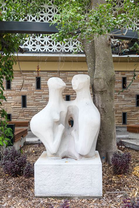 CityCat Ferry Guide: Northshore Hamilton to UQ St Lucia 6