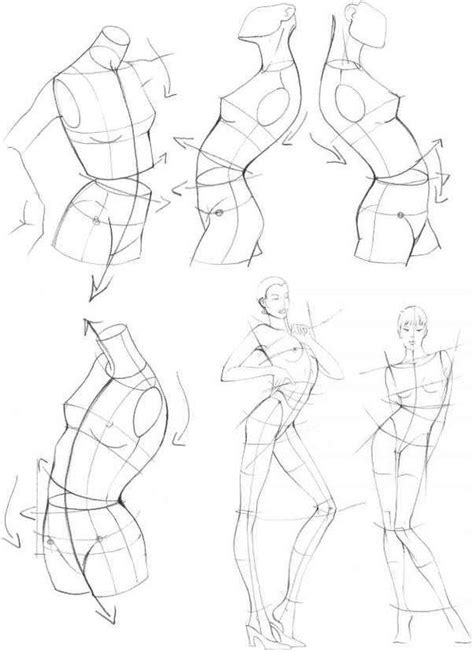 female body drawing reference  getdrawings