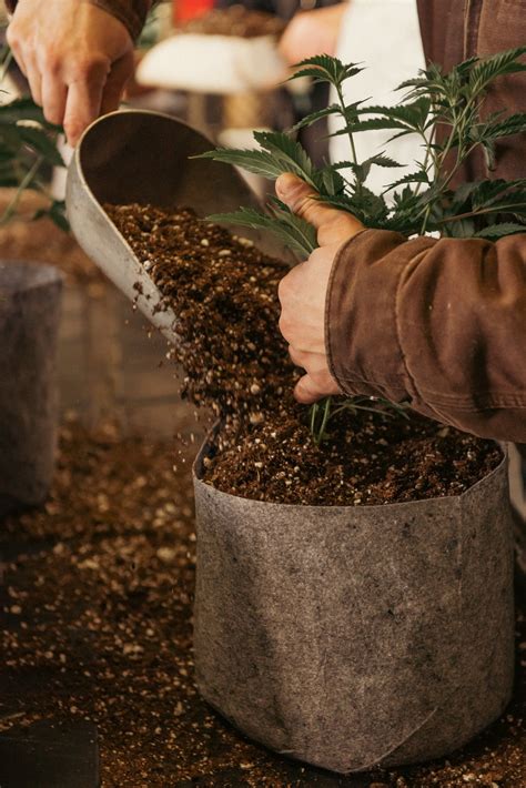 pipe dope home depot