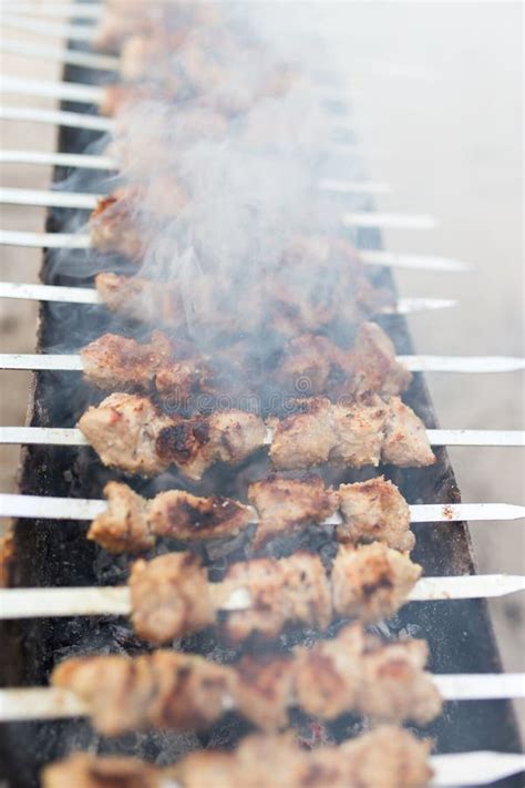 Grilled Skewers on the Grill Stock Photo - Image of roast, party: 111236812