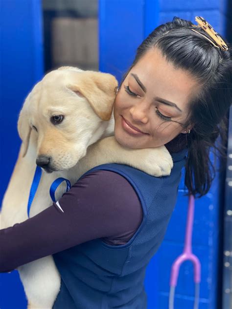 Pet owners are reacting to the west chester animal clinic expansion 1