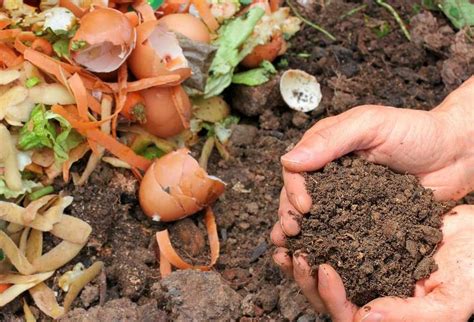 The Ultimate Guide to Backyard Composting - Greeny Thumbs