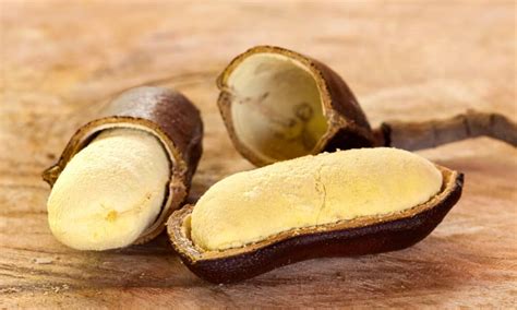 Pra Que Serve O Jatobá - Já o quê? Jatobá! Confira os benefícios medicinais e nutricionais da fruta