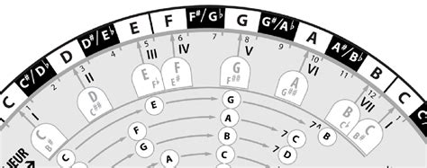 SEMITONE CIRCLE - DE HALVE TONENCIRKEL