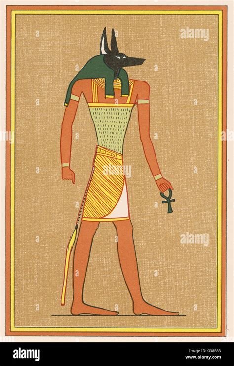 anubis god dead head jackel  res stock photography  images alamy
