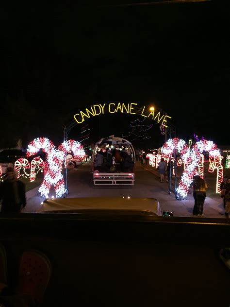 The story of how the town of winterhaven became a winter oasis 8