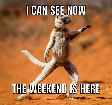 Weekend Animal Meme