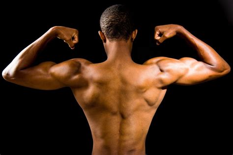 Want to build more muscle? Keeping a healthy gut is crucial, study ...