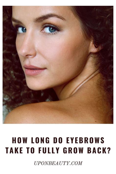 how long do eyebrows take to grow back fully