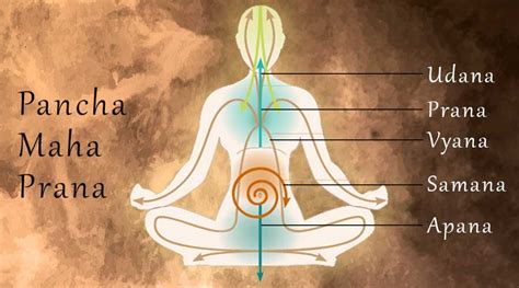 How prana works? - Monad Yoga Online | Online Yoga Classes